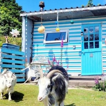 ホテル Treguth Glamping Unique Experience - Themed Huts Saint Day エクステリア 写真