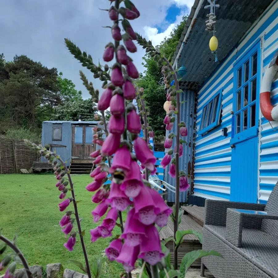 ホテル Treguth Glamping Unique Experience - Themed Huts Saint Day エクステリア 写真