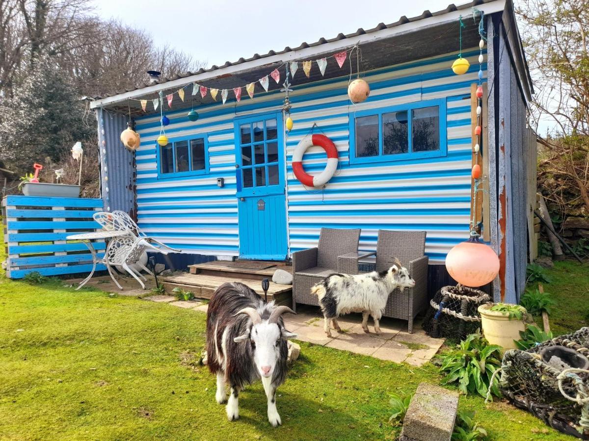 ホテル Treguth Glamping Unique Experience - Themed Huts Saint Day エクステリア 写真