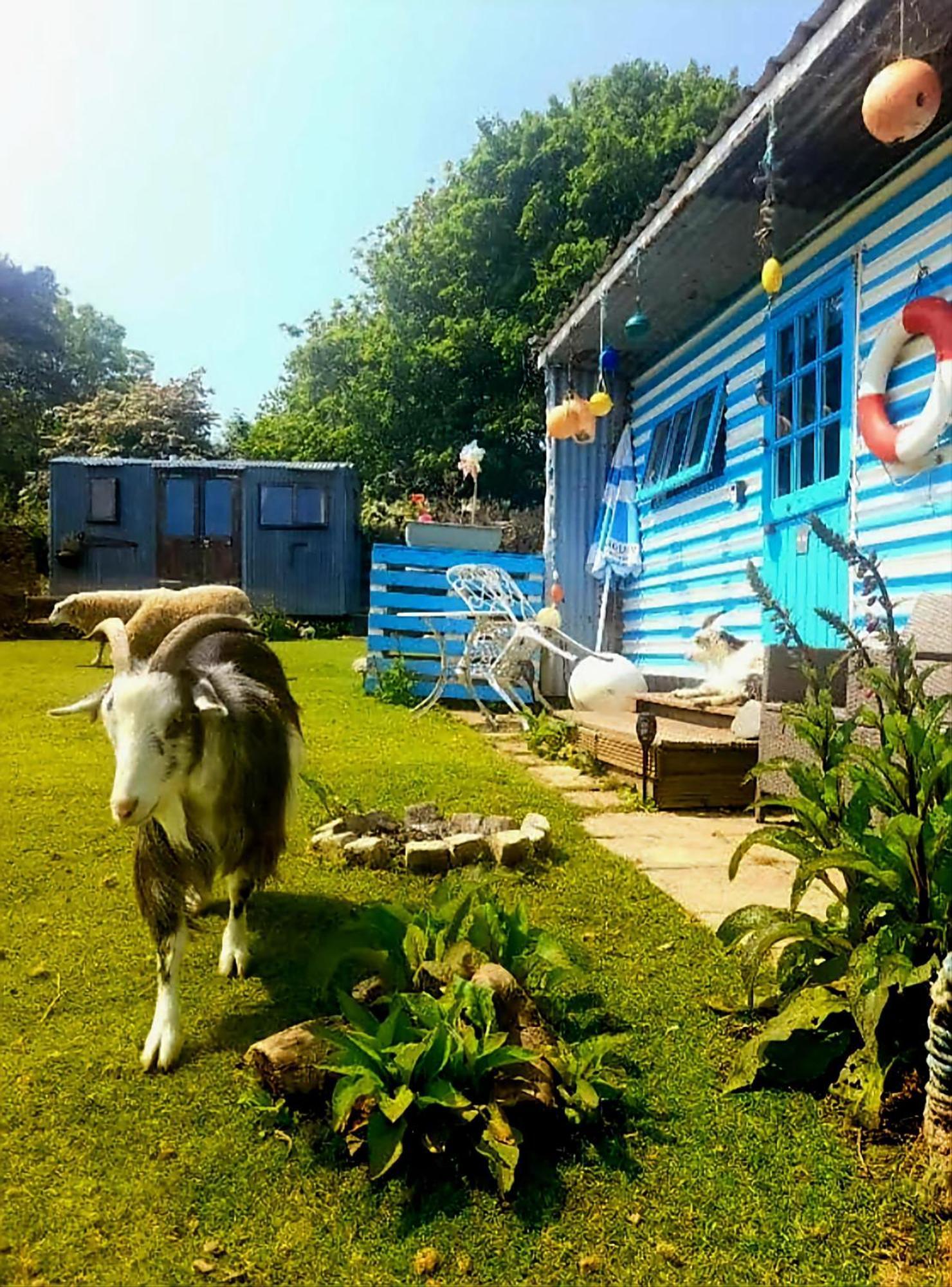 ホテル Treguth Glamping Unique Experience - Themed Huts Saint Day エクステリア 写真