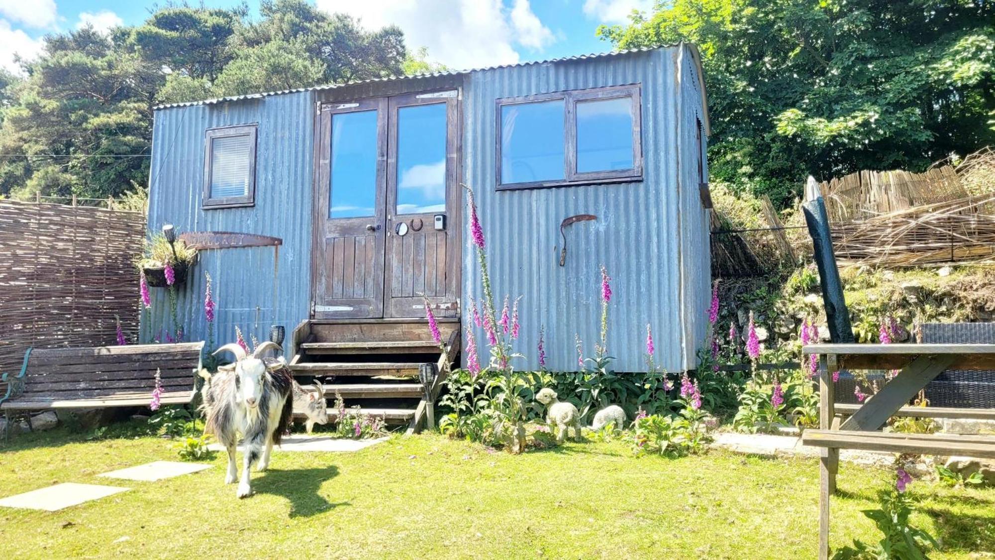 ホテル Treguth Glamping Unique Experience - Themed Huts Saint Day エクステリア 写真