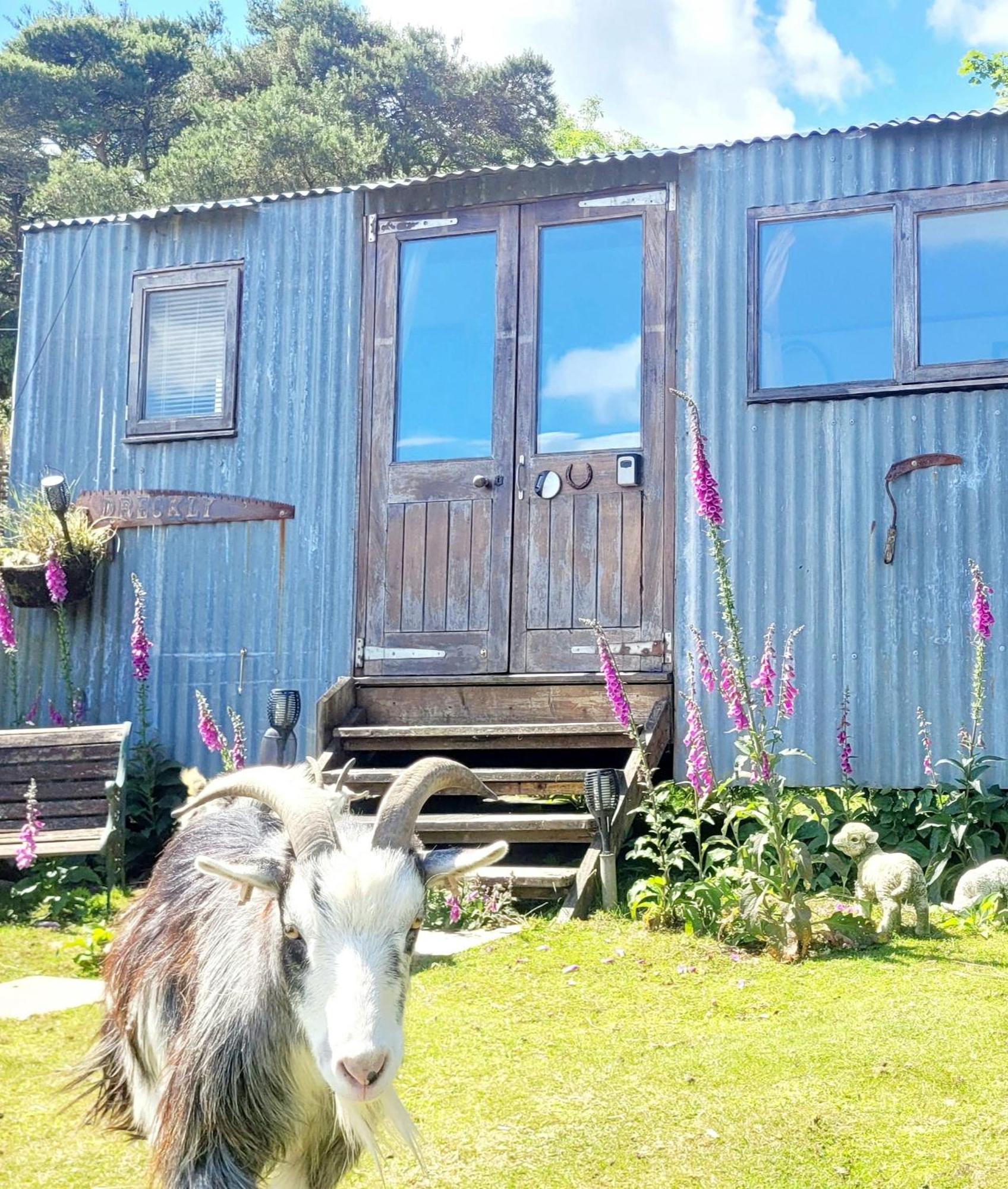 ホテル Treguth Glamping Unique Experience - Themed Huts Saint Day エクステリア 写真